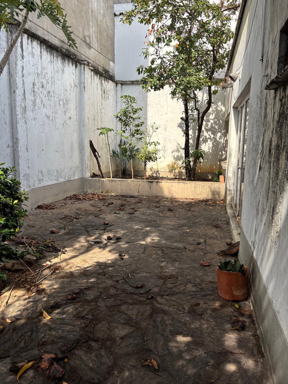 Inmueble foto 9