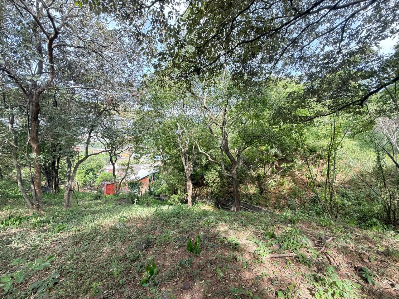 Inmueble foto 8