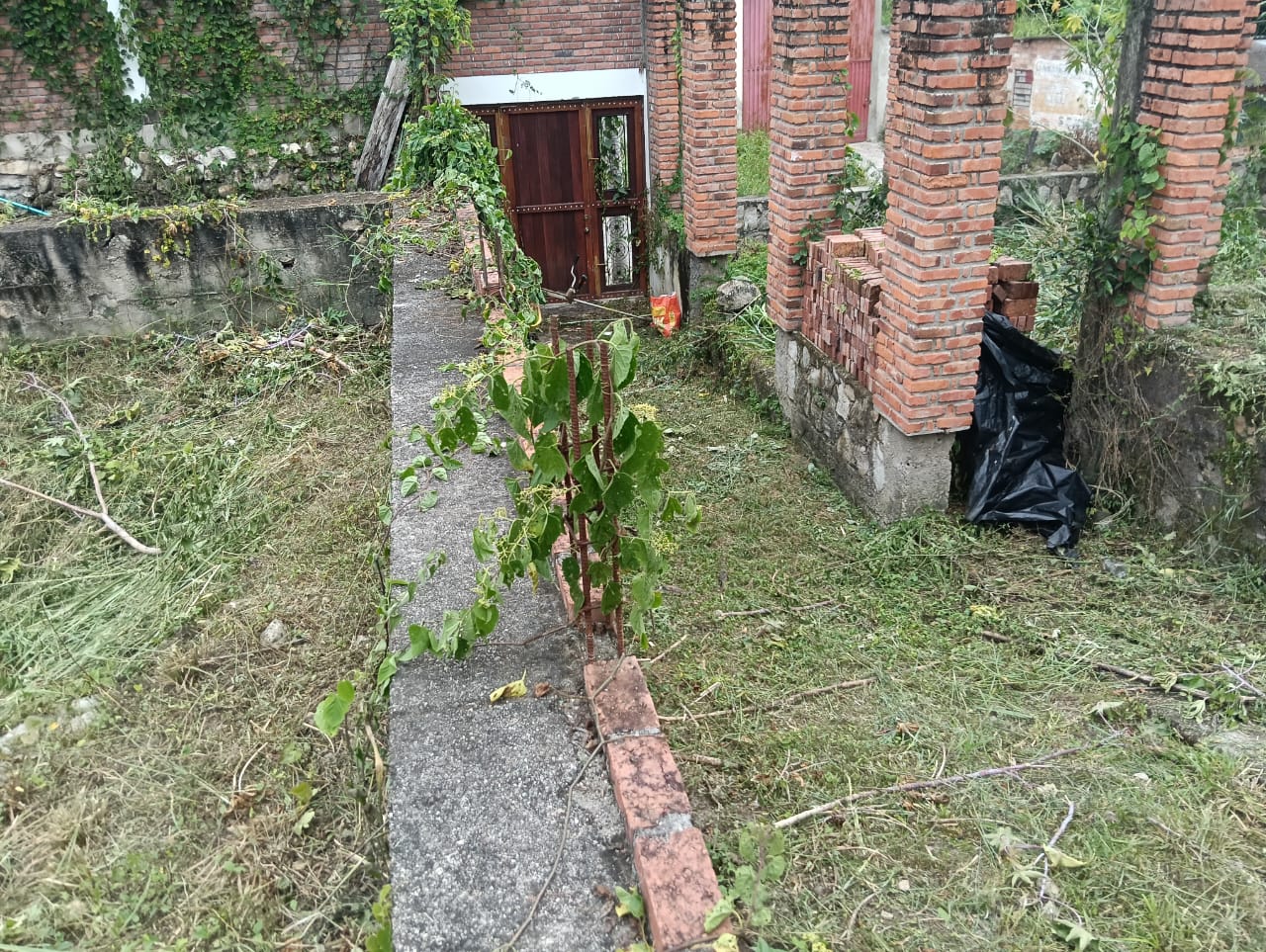 Inmueble foto 5