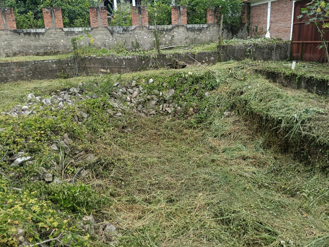 Inmueble foto 10